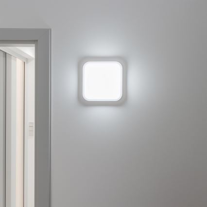 Brilagi - LED Spoljna zidna lampa LED/20W/230V IP54