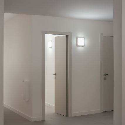 Brilagi - LED Spoljna zidna lampa LED/20W/230V IP54