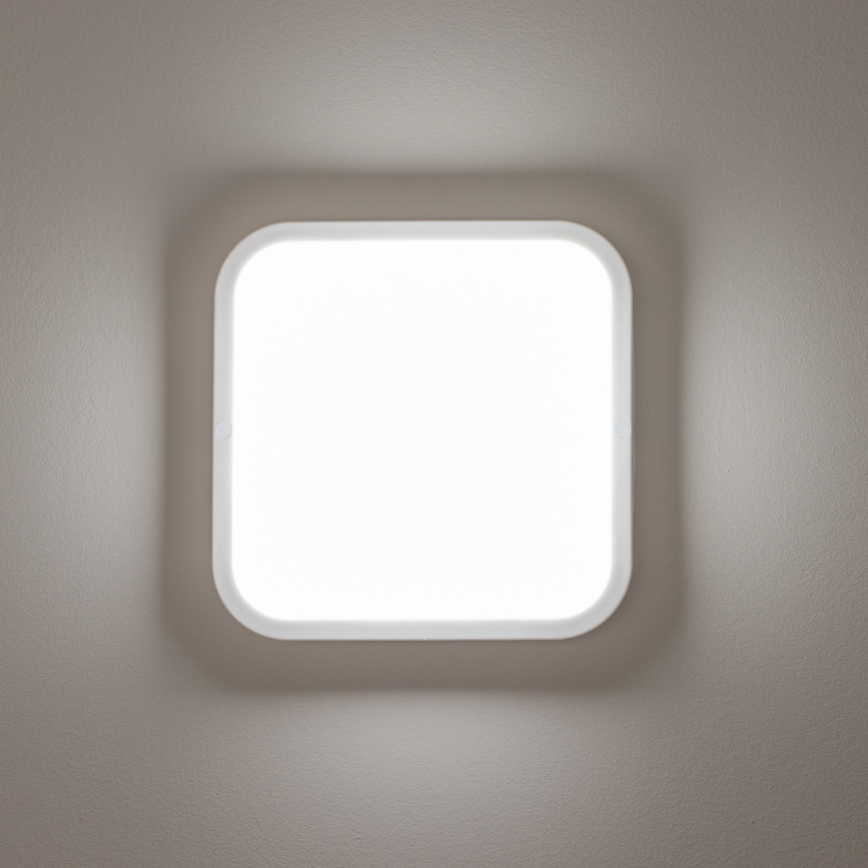 Brilagi - LED Spoljna zidna lampa LED/20W/230V IP54