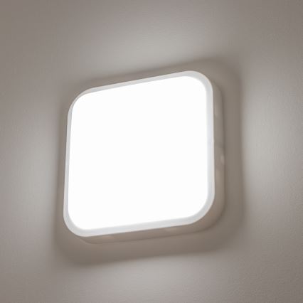Brilagi - LED Spoljna zidna lampa LED/20W/230V IP54