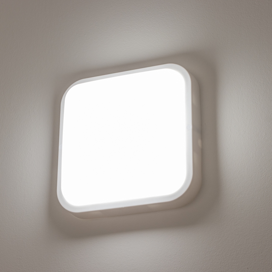 Brilagi - LED Spoljna zidna lampa LED/20W/230V IP54