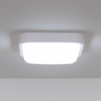 Brilagi - LED Spoljna zidna lampa LED/20W/230V IP54