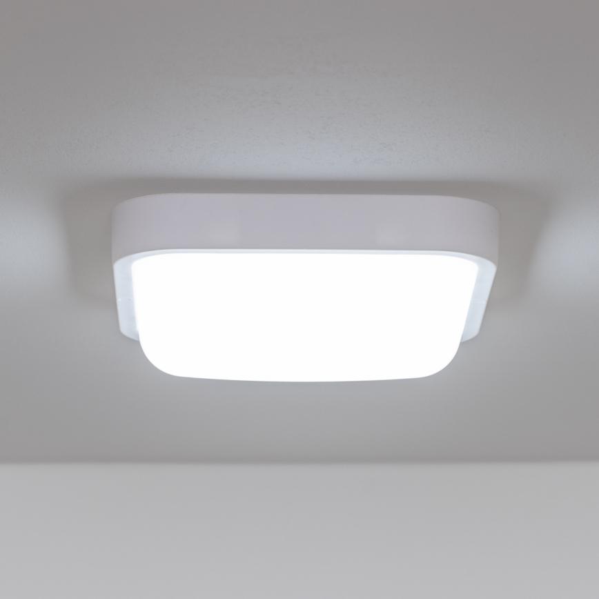 Brilagi - LED Spoljna zidna lampa LED/20W/230V IP54