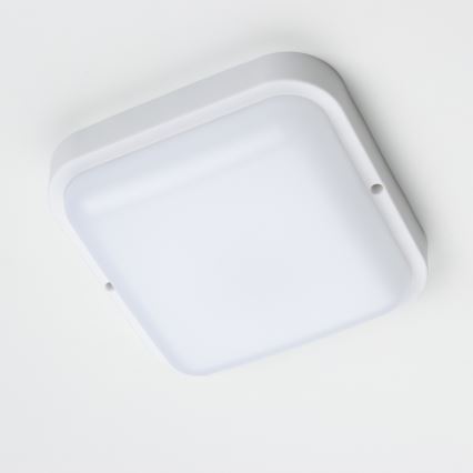 Brilagi - LED Spoljna zidna lampa LED/20W/230V IP54