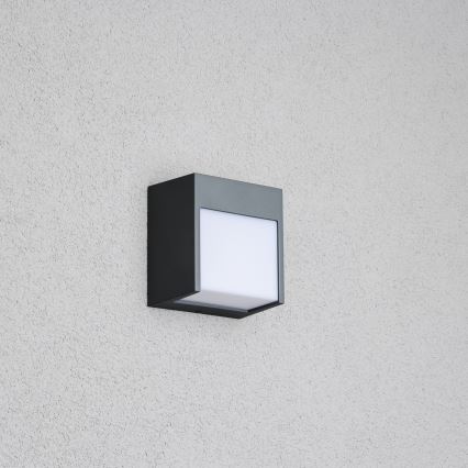 Brilagi - LED Spoljna zidna lampa TERNI LED/12W/230V Antracit IP44