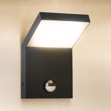 Brilagi - LED spoljna zidna svetiljka sa senzorom RIANO LED/8W/230V antracit IP65