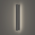 Brilagi - LED spoljno zidno svetlo LINEAR, 12W, 230V, 4000K, IP65, 50 cm, antracit