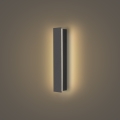 Brilagi - LED spoljno zidno svetlo LINEAR LED/8W/230V 3000K IP65 30 cm antracit