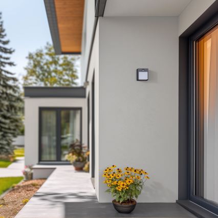 Brilagi - LED spoljašnje zidno svetlo sa senzorom TERNI LED/12W/230V antracit IP44