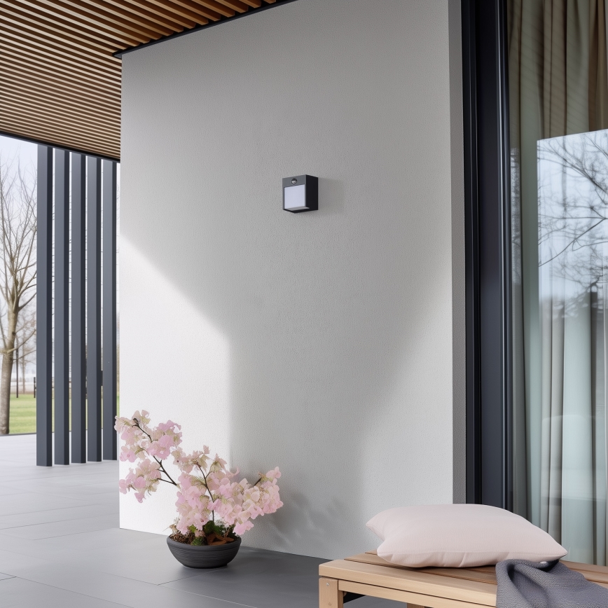Brilagi - LED spoljašnje zidno svetlo sa senzorom TERNI LED/12W/230V antracit IP44