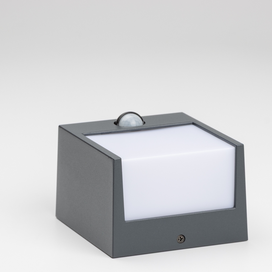 Brilagi - LED spoljašnje zidno svetlo sa senzorom TERNI LED/12W/230V antracit IP44