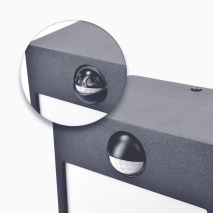 Brilagi - LED spoljašnje zidno svetlo sa senzorom TERNI LED/12W/230V antracit IP44