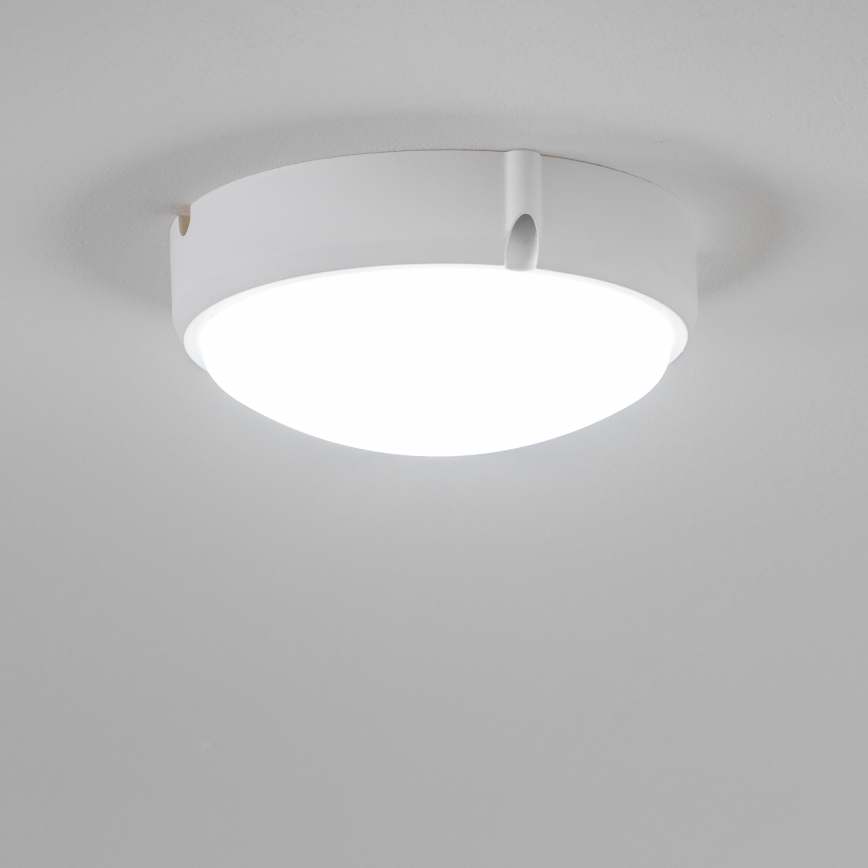 Brilagi - LED stropna industrijska svetiljka SIMA LED/12W/230V IP65 bela