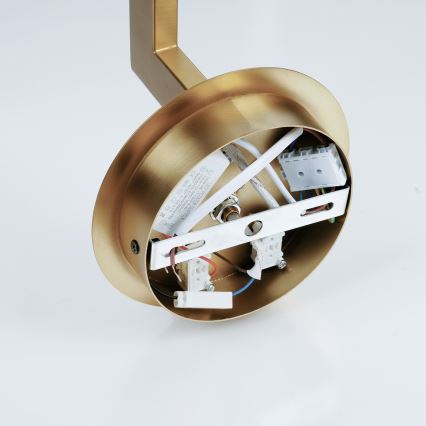 Brilagi - LED Zidna lampa DAYA 1xE14/40W/230V + LED/3W kremasta/zlatna
