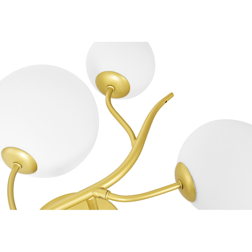 Brilagi - LED Zidna lampa MISTEL 3xG9/3W/230V zlatna/bela