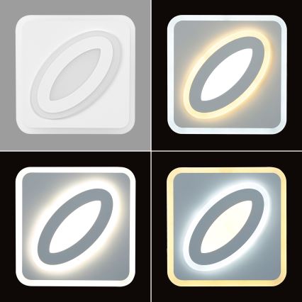 Brilagi - LED Zidna lampa MODERN MINI LED/32W/230V 3000/4000/6000K
