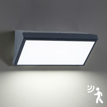 Brilagi - LED Zidno spoljašnje osvetljenje sa senzorom TRIANGLE LED/20W/230V Antracit IP65