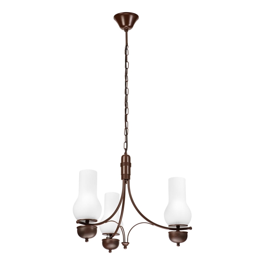 Brilagi - Luster na lancu COTTAGE 3xE14/40W/230V hrast/bela