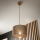 Brilagi - Luster na sajli ANTHONY 1xE27/60W/230V hrast/braon