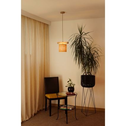 Brilagi - Luster na sajli FOREST 1xE27/15W/230V bor/braon