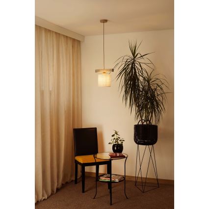 Brilagi - Luster na sajli FOREST 1xE27/15W/230V bor/braon/kremasta