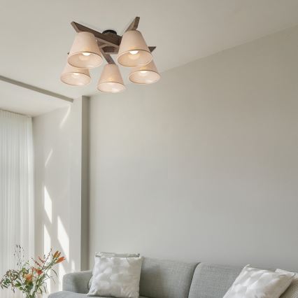 Brilagi - Nadgradni luster ANTHONY 5xE14/40W/230V hrast/bež