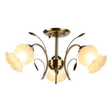 Brilagi - Nadgradni luster FLORA 3xE27/60W/230V bronzana
