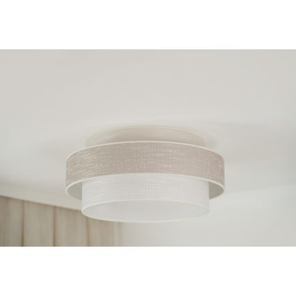 Brilagi - Plafonjera DOVER SPACE LED/12W/230V pr. 50 cm 3000K/4000K/6400K sivo/kremasta