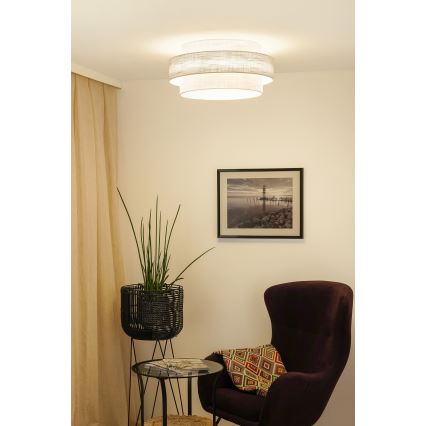Brilagi - Plafonjera DOVER SPACE LED/12W/230V pr. 50 cm 3000K/4000K/6400K sivo/kremasta