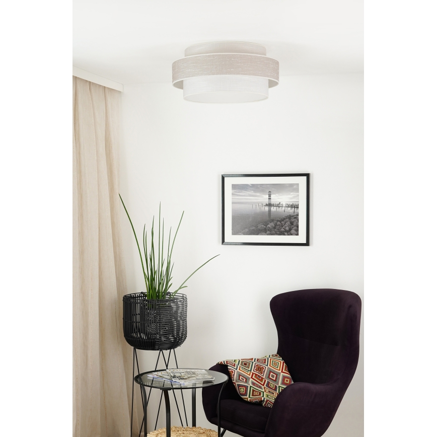 Brilagi - Plafonjera DOVER SPACE LED/12W/230V pr. 50 cm 3000K/4000K/6400K sivo/kremasta