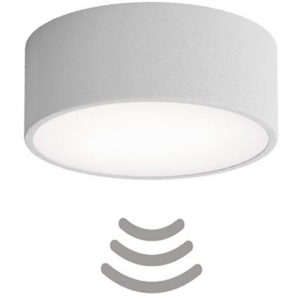 Brilagi - Plafonjera sa senzorom CLARE 1xE27/24W/230V pr. 20 cm sivo