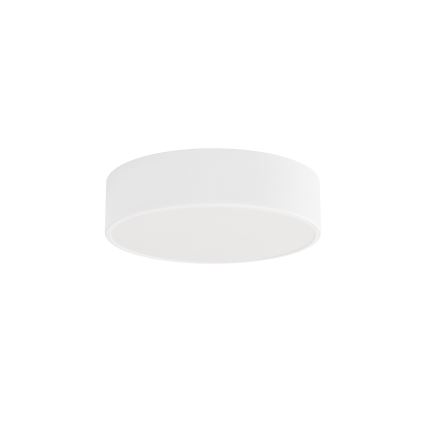 Brilagi - Plafonjera za kupatilo CLARE 2xE27/24W/230V pr. 30 cm bela IP54