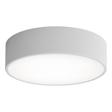 Brilagi - Plafonjera za kupatilo CLARE 2xE27/24W/230V pr. 30 cm IP54 sivo