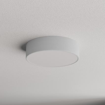 Brilagi - Plafonjera za kupatilo CLARE 2xE27/24W/230V pr. 30 cm IP54 sivo