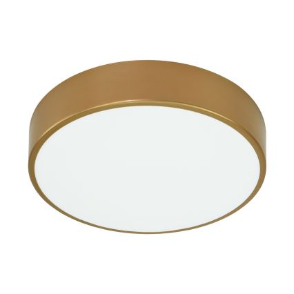 Brilagi - Plafonjera za kupatilo CLARE 3xE27/24W/230V pr. 40 cm IP54 zlatna