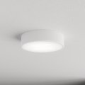 Brilagi - Plafonsko svetlo za kupatilo CLARE 2xE27/24W/230V preč. 30 cm belo IP54