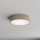 Brilagi - Plafonsko svetlo za kupatilo CLARE 2xE27/24W/230V, prečnik 30 cm, IP54, bež
