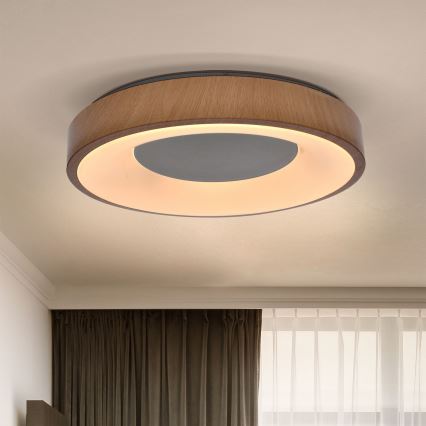 Brilagi - LED prigušiva plafonsko svetlo DORIA LED/48W/230V 3000-6500K preč. 39 cm + daljinski upravljač