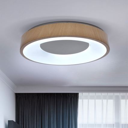 Brilagi - LED prigušiva plafonsko svetlo DORIA LED/48W/230V 3000-6500K preč. 39 cm + daljinski upravljač