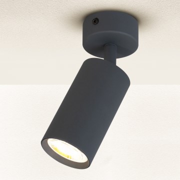 Brilagi - Reflektorska lampa SELE 1xGU10/30W/230V antracit