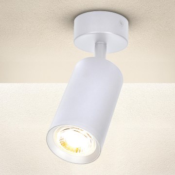 Brilagi - Reflektorska lampa SELE 1xGU10/30W/230V bela
