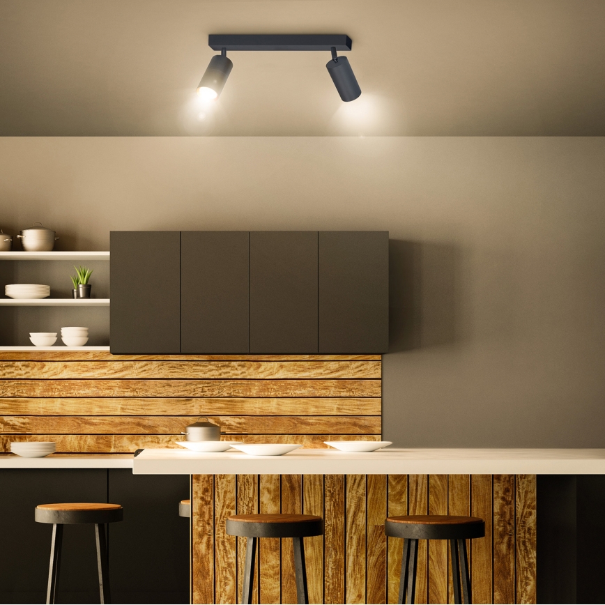 Brilagi - Reflektorska lampa SELE 2xGU10/30W/230V antracit