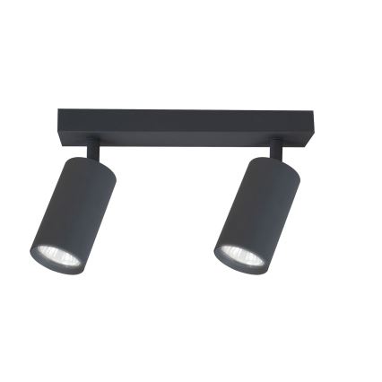 Brilagi - Reflektorska lampa SELE 2xGU10/30W/230V antracit