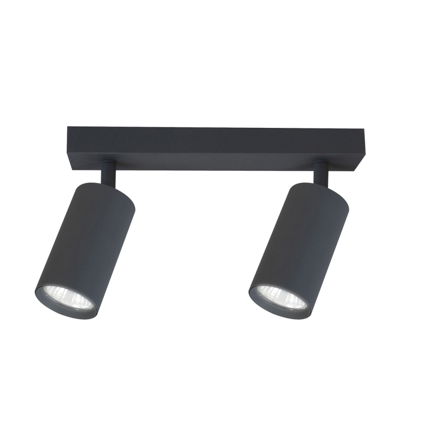 Brilagi - Reflektorska lampa SELE 2xGU10/30W/230V antracit
