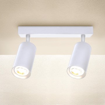Brilagi - Reflektorska lampa SELE 2xGU10/30W/230V bela