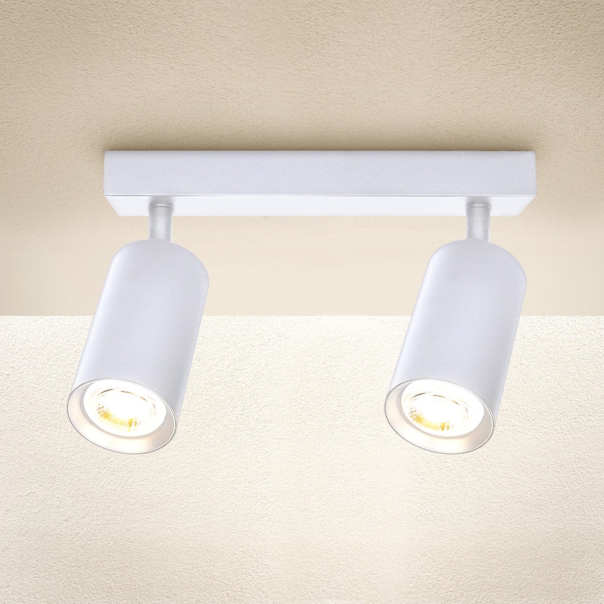 Brilagi - Reflektorska lampa SELE 2xGU10/30W/230V bela