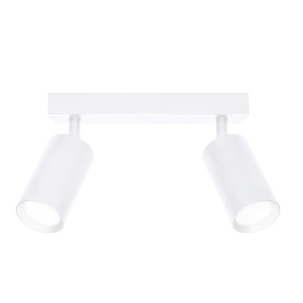 Brilagi - Reflektorska lampa SELE 2xGU10/30W/230V bela