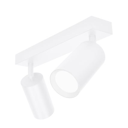 Brilagi - Reflektorska lampa SELE 2xGU10/30W/230V bela
