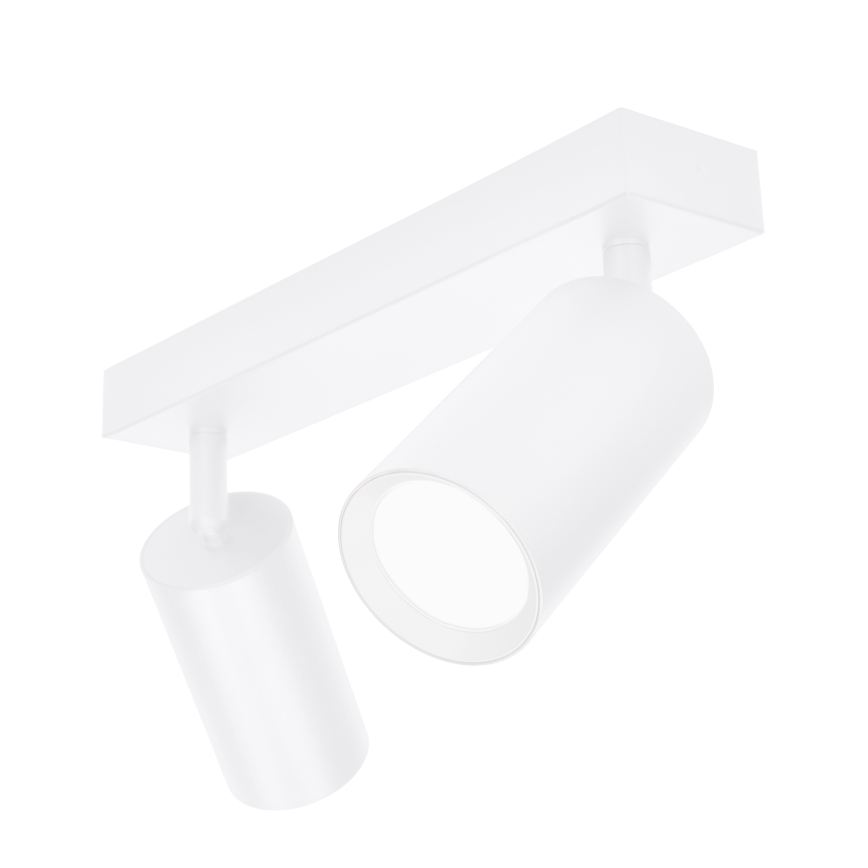 Brilagi - Reflektorska lampa SELE 2xGU10/30W/230V bela