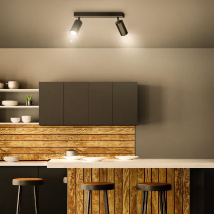 Brilagi - Reflektorska lampa SELE 2xGU10/30W/230V crno